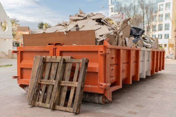 Debris Removal in Seville, FL